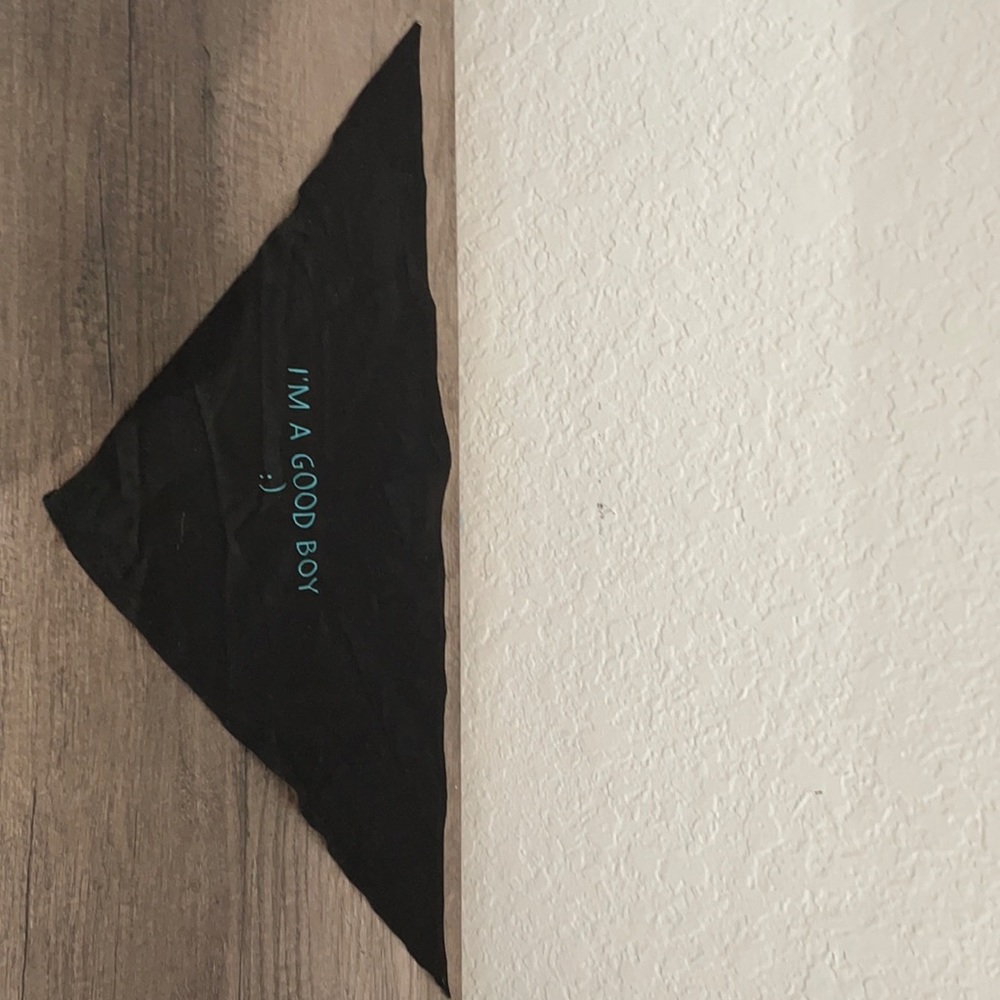 Dog bandana